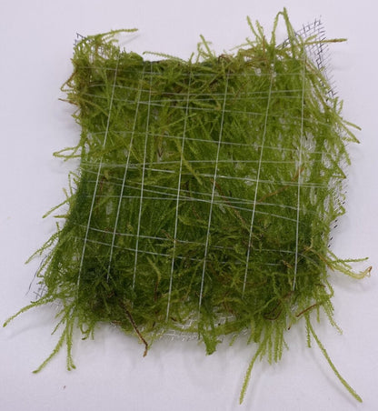 Moss "FLAME" on mesh (8x8)